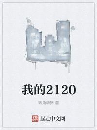 我的2120