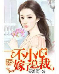 一不小心嫁了总裁
