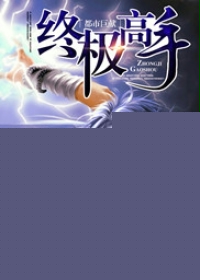 终极高手