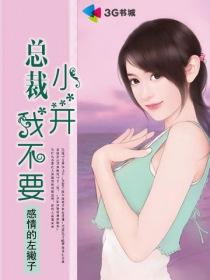 总裁小开我不要