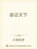 拳证天下