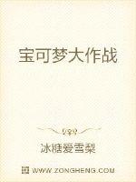宝可梦大作战