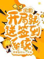 火影之开局就送签到系统