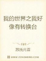 我的世界之我好像有转换台