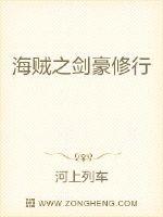 海贼之剑豪修行