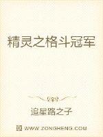 精灵之格斗冠军