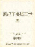 崛起于海贼王世界