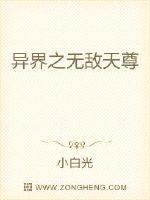 异界之无敌天尊