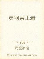 灵羽帝王录