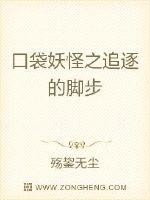 口袋妖怪之追逐的脚步