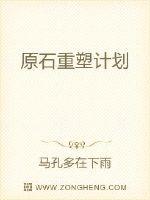 原石重塑计划