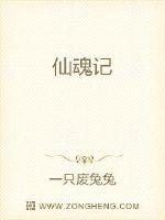 仙魂记