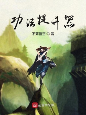 功法提升器
