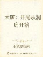 大唐搬运工
