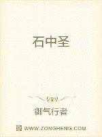 石中圣