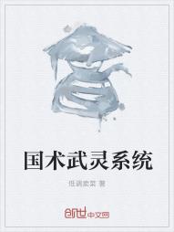 国术武灵系统