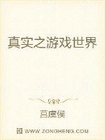 真实之游戏世界
