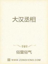 大汉丞相