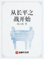 从长平之战开始