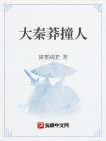 大秦莽撞人