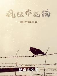 疯狂作死猫