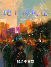 地上的繁星
