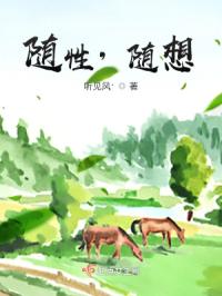随性，随想