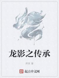 龙影之传承