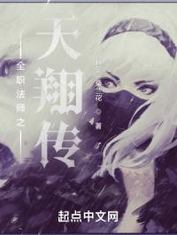 全职法师之天翔传