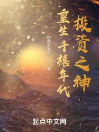 重生千禧年代投资之神