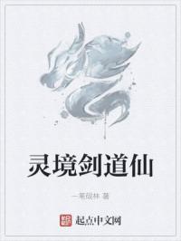 灵境剑道仙