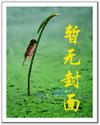 重装突击