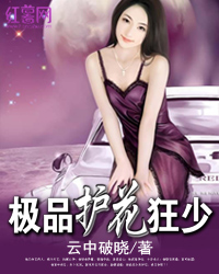 极品护花狂少