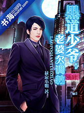 黑道少爷：老婆欠调教