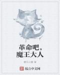 革命吧，魔王大人